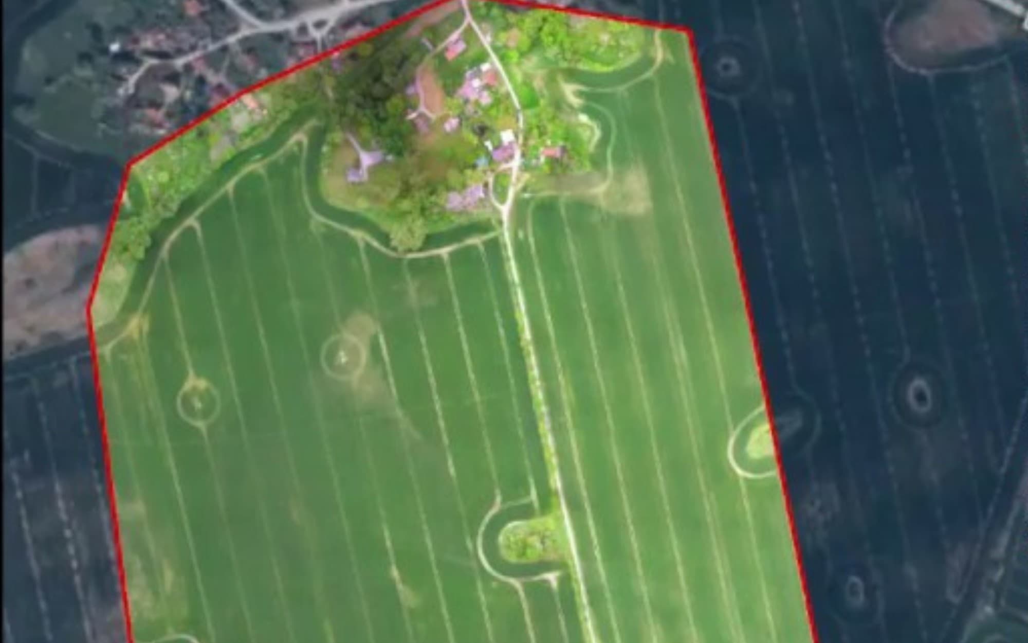 Top-down RGB aerial of a crop field outlined for the flight